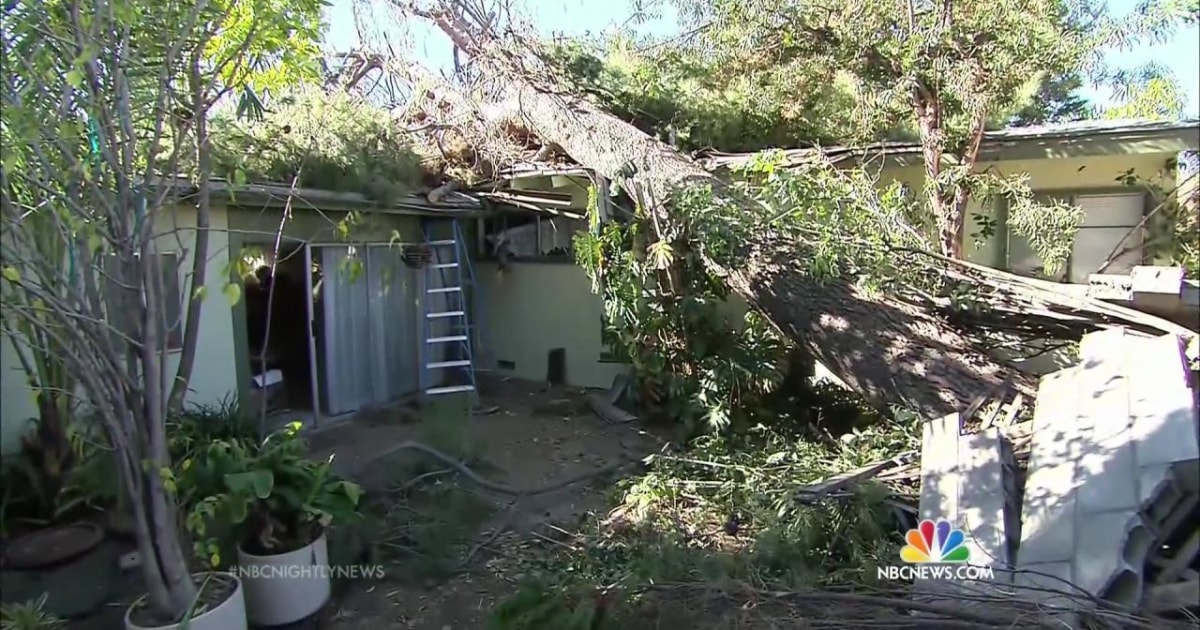The Santa Ana Winds Leave Thousands Without Power