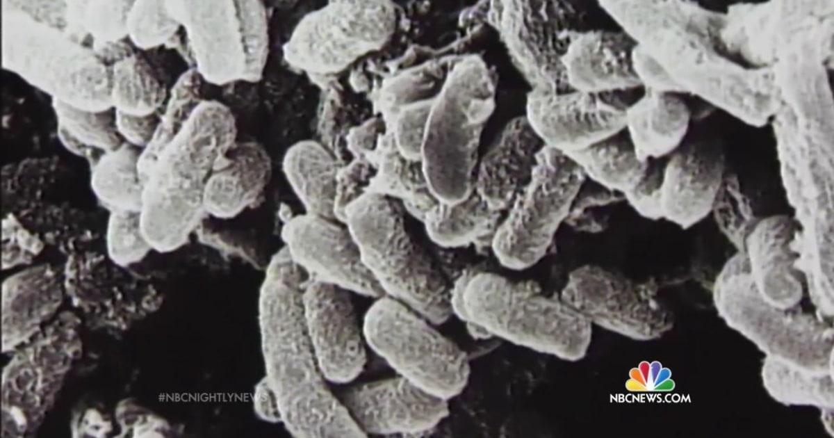 How Was an Army Lab Able to Send Live Anthrax Through the Mail?
