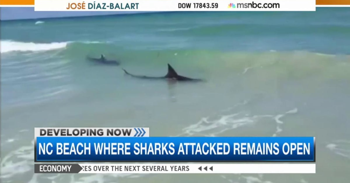 NC beach remains open despite shark attacks