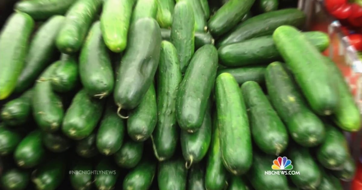 Cucumbers Recalled After Salmonella Outbreak Kills One, Spreads To 27 ...