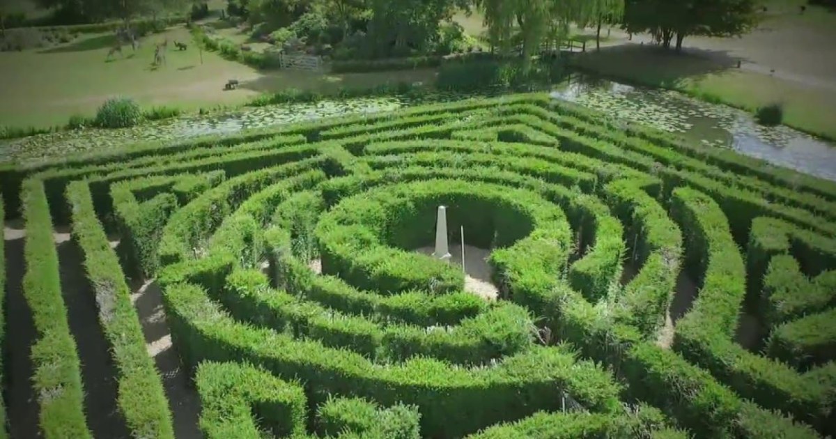 Hedge Maze 迷路庭園 フルアートFoil 英語 FOIL)(フルアート)迷路庭園/Hedge Maze《英語》【MKM】