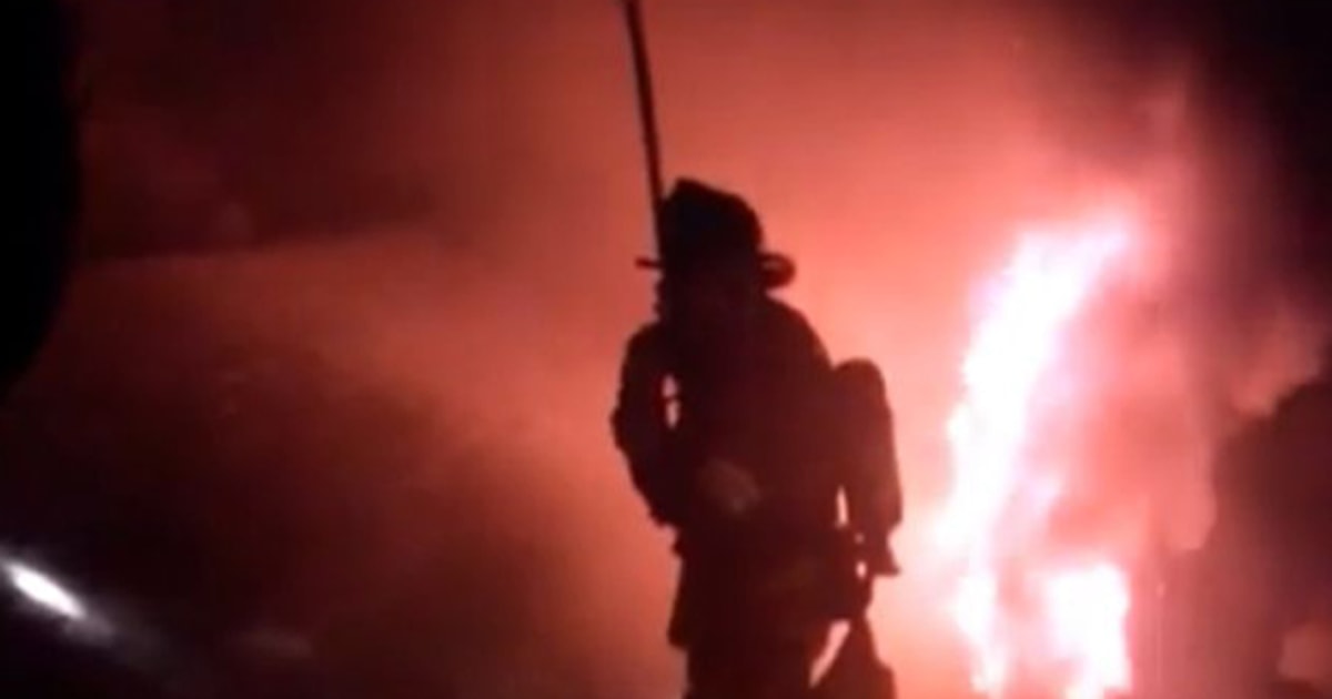 Dog's Fiery Rescue Caught On Camera