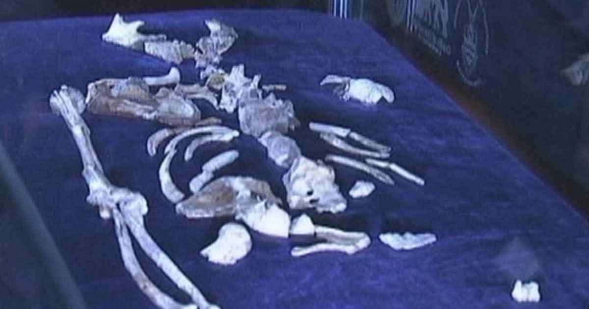 bones do we have in one year