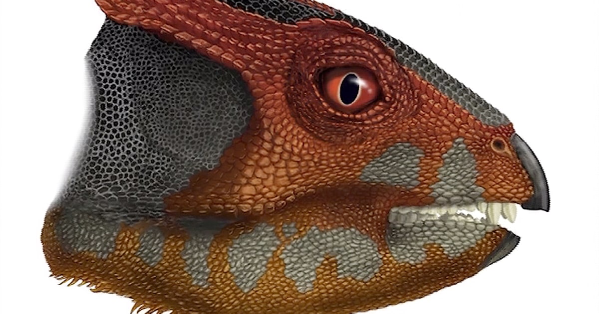 New Dinosaur Species Discovered in China