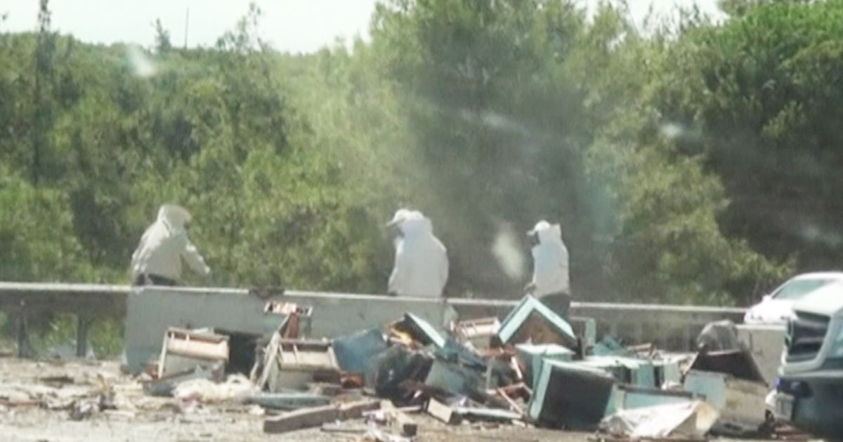 Truck Carrying Thousands of Bees Crashes in Turkey