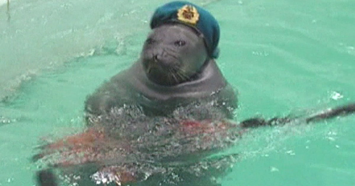 Russian 'Military Seals' Celebrate VE Day