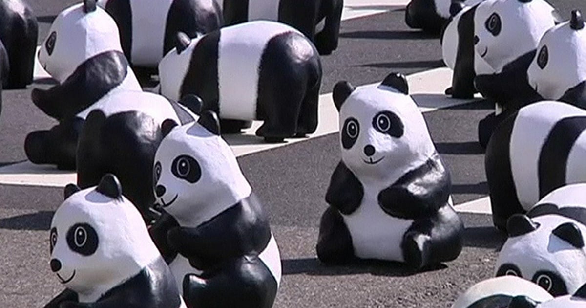 f_raw_pandas_140228.jpg
