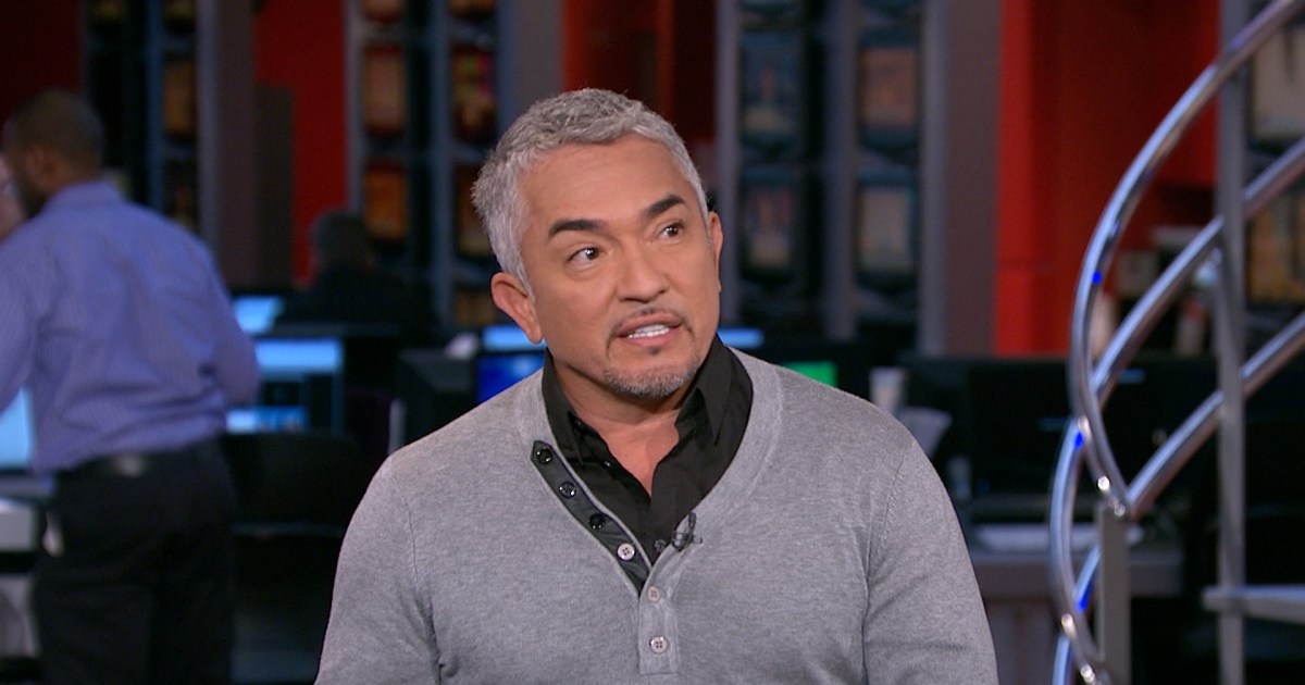 Cesar Millan on rehabilitating dogs, owners