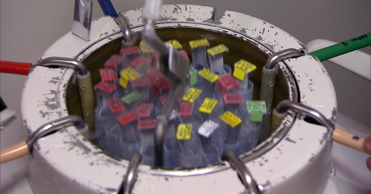 Facebook and Apple Cover Egg Freezing Costs for Employees