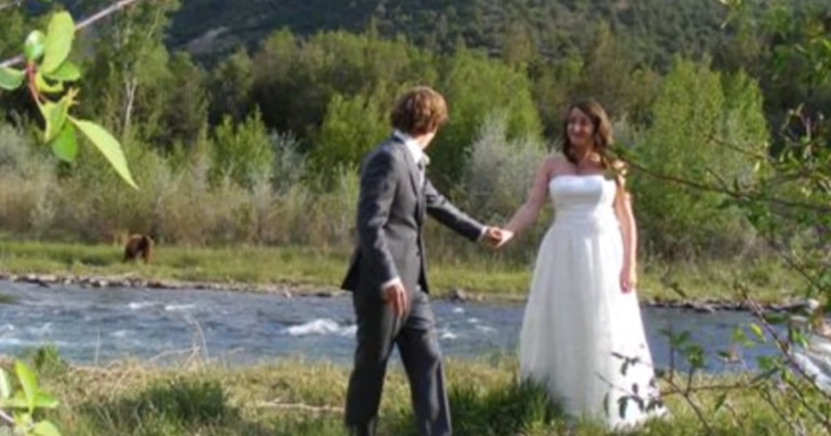 Bear crashes wedding reception