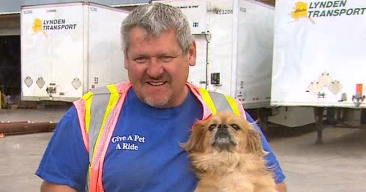 Truckers rescue pets in need of new home