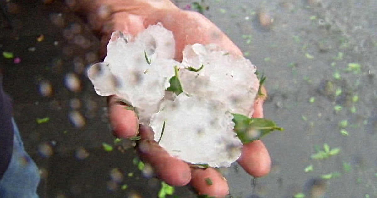 Freak Storm Delivers Hail the Size of Golf Balls in Australia