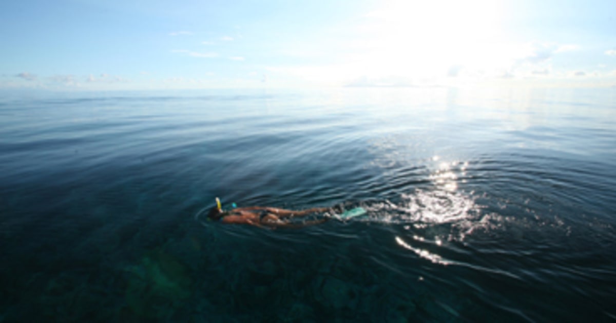The top 10 Caribbean snorkeling parks