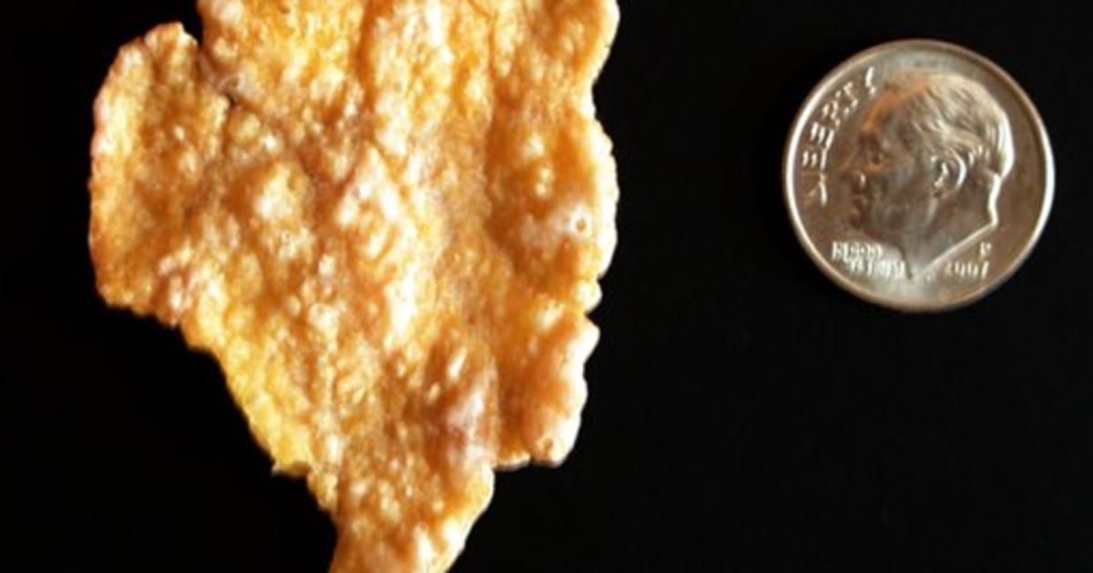 Illinois-shaped corn flake sells for $1,350
