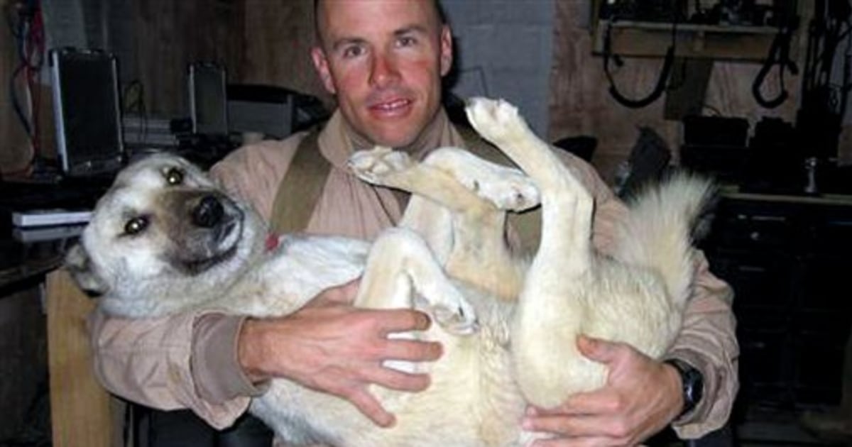 Marine reunited with dog he rescued in Iraq