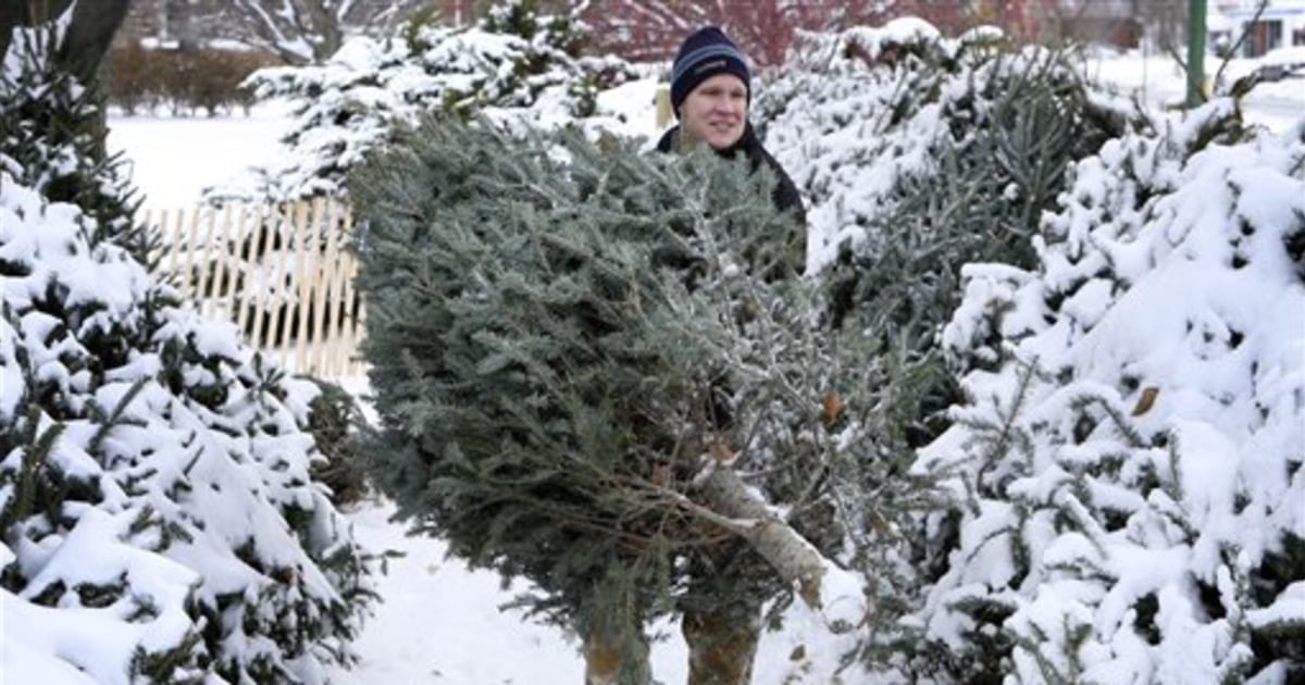 Loonie trims Canada’s Christmas tree profits
