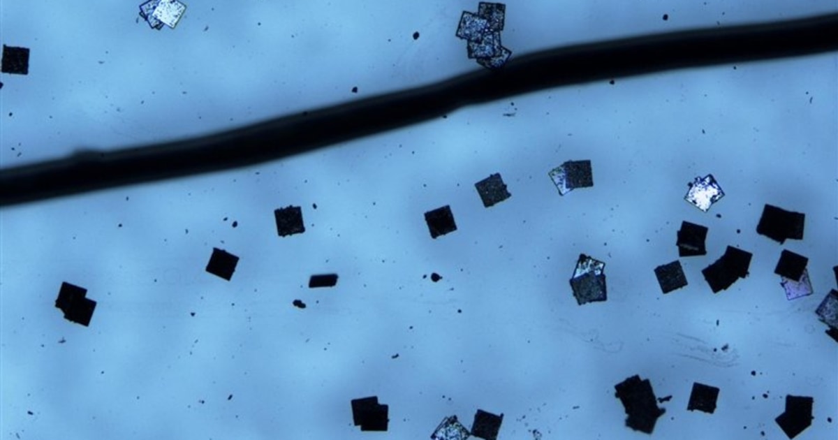 Rfid How Small Hitachi shows off world's smallest RFID chip