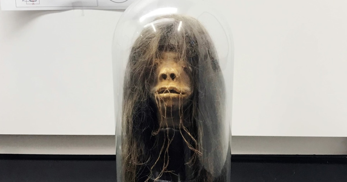 Ceremonial shrunken head returning to the Amazon after being displayed in U.S.