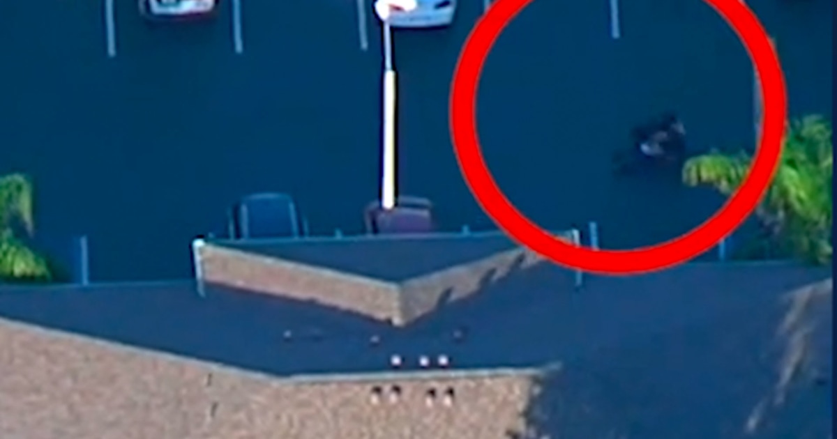 Video shows the moment a Florida man threw a twomonth old infant at a deputy