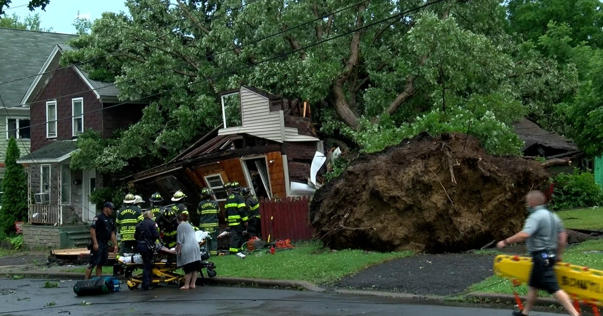 New York man and dog rescued after tree falls on home