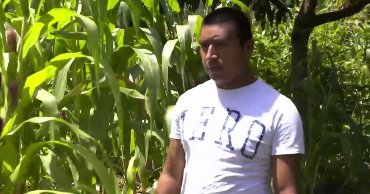 Climate Change Forces Guatemalan Farmers To Migrate To U S