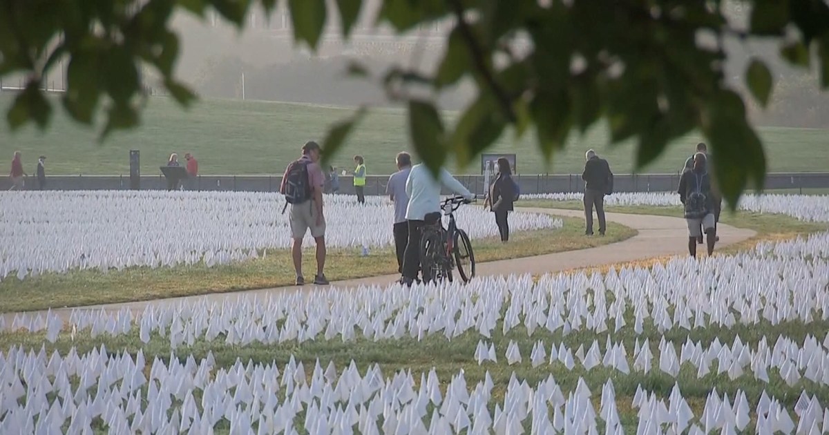 Covid memorial: Thousands of flags in D.C. represent lives lost to virus