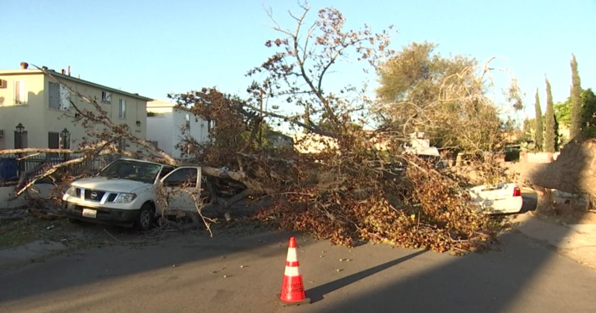 Santa Ana winds in California leave thousands without power