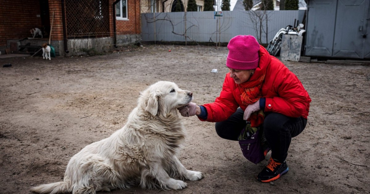 How a nonprofit organization is working to evacuate Ukrainian animal shelters