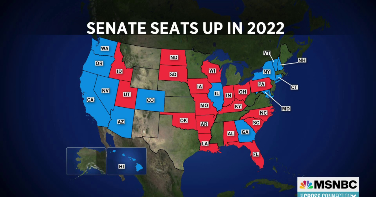 What the Midterms Could Mean for 2024