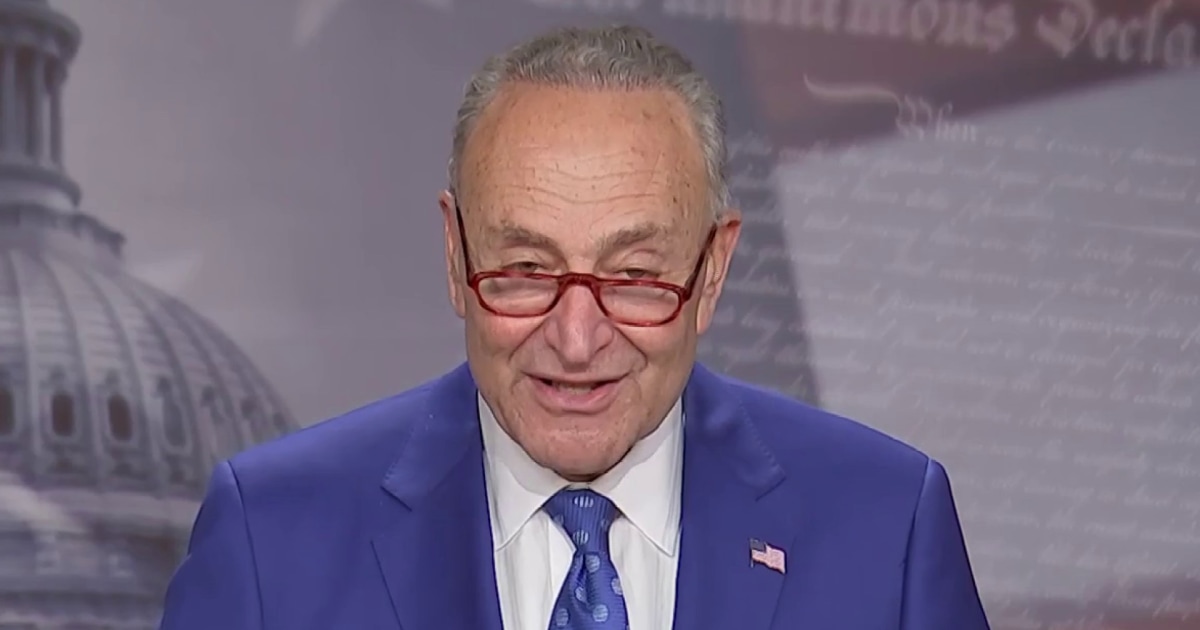 Chuck Schumer speaks after passage of Inflation Reduction Act