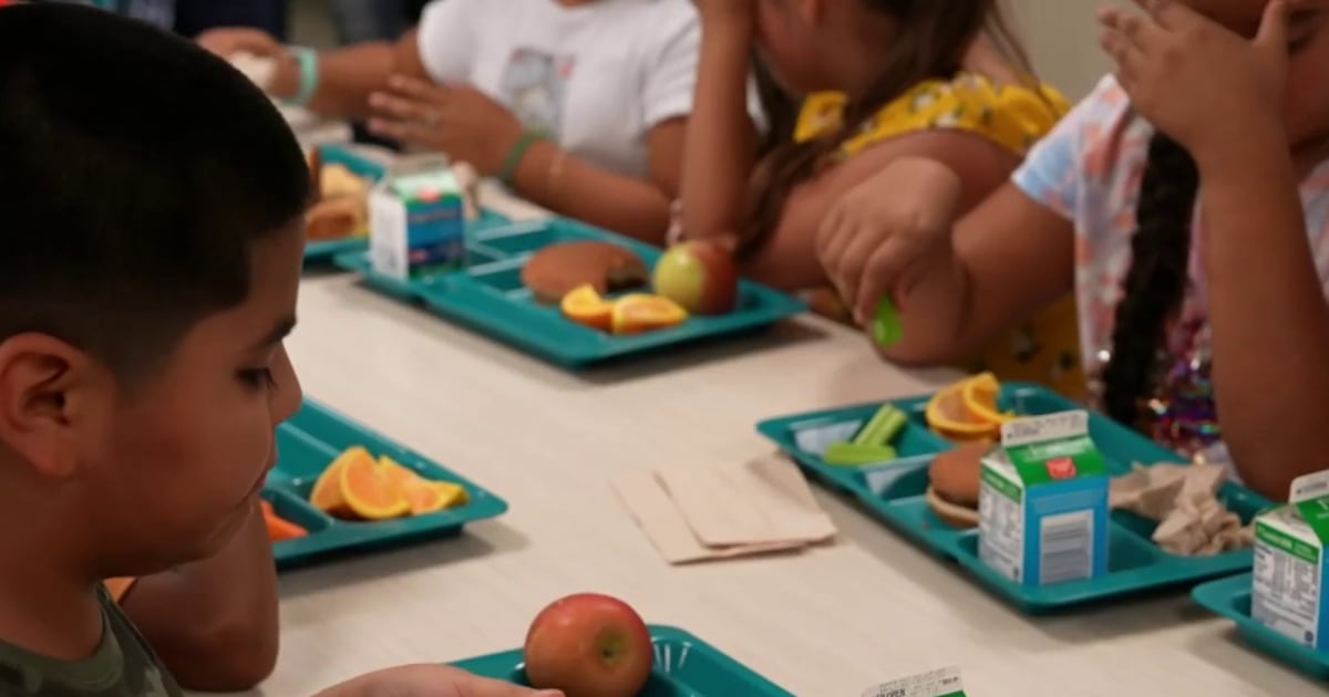 Free School Lunch Program Is Ending Leaving Families Scrambling Free school lunch program is ending leaving families scrambling