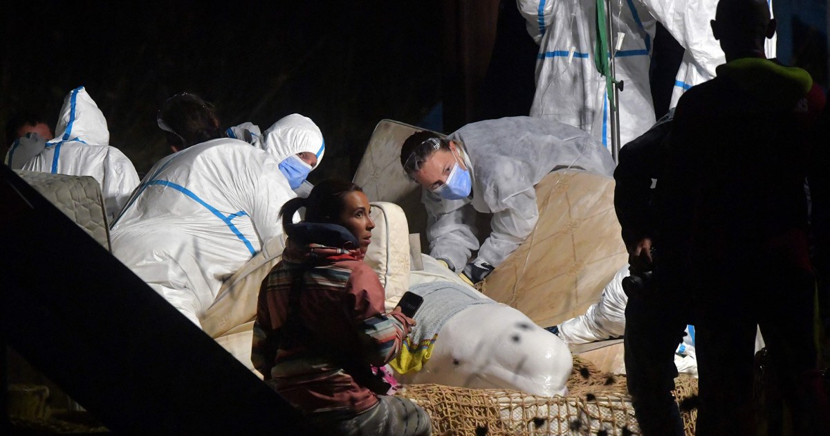 Stranded beluga whale dies after being removed from France’s River Seine