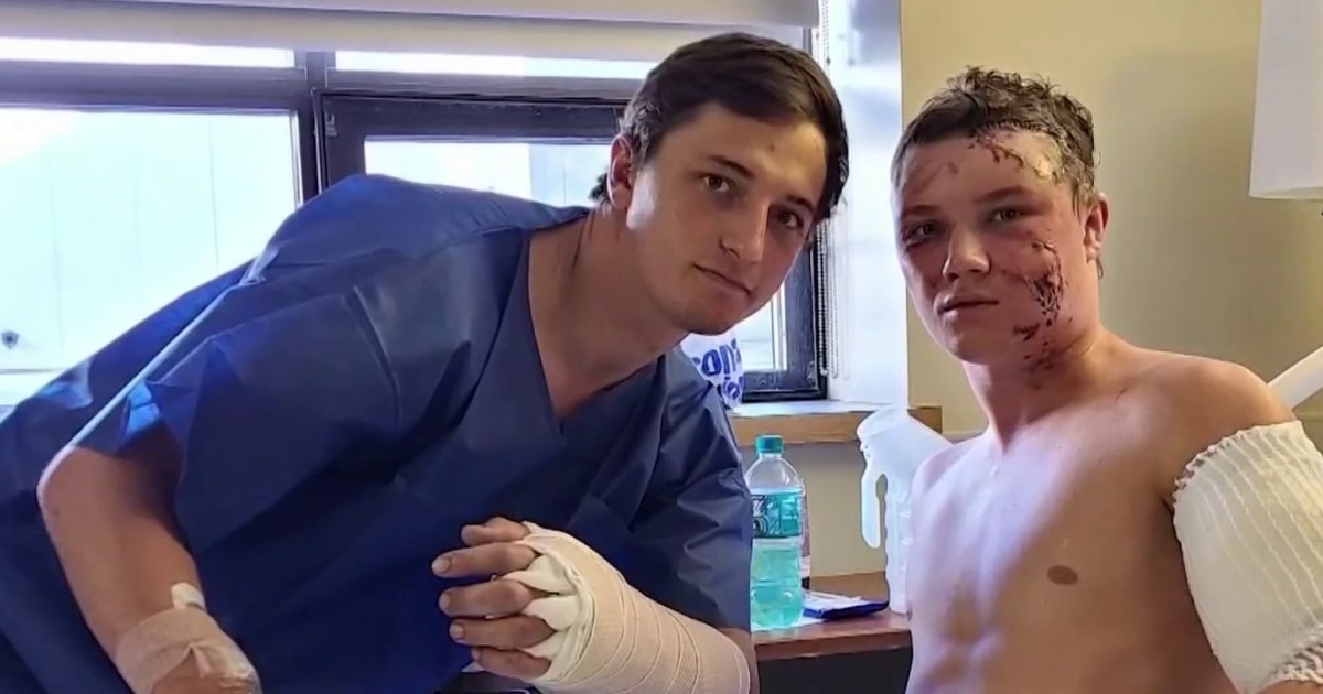 Grizzly bear attacks two college students in Wyoming