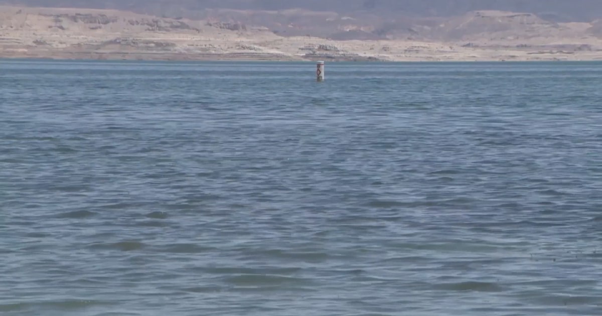 Nevada boy dies from rare braineating amoeba