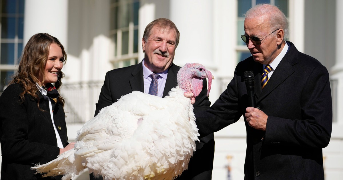 Biden pardons Thanksgiving turkeys named Chocolate and Chip