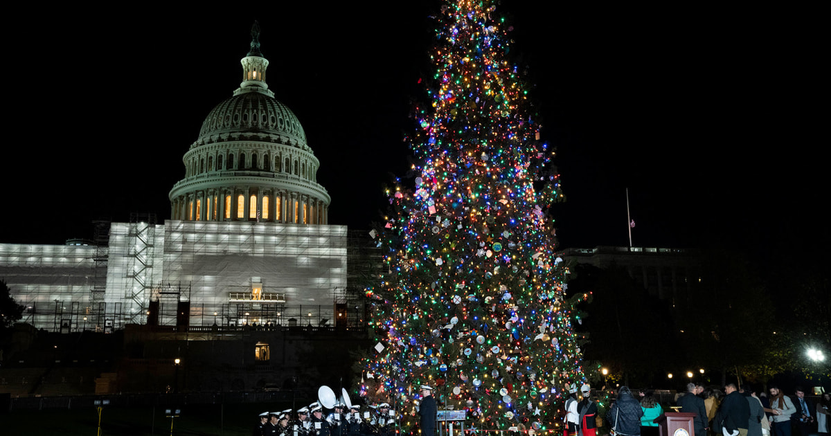 U.S. Capitol Christmas tree lit by Nancy Pelosi at 58th annual ceremony