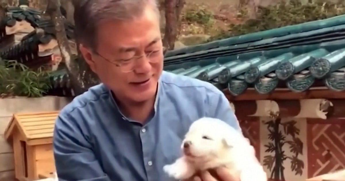 ExSouth Korean leader to give up dogs from North Korea's Kim