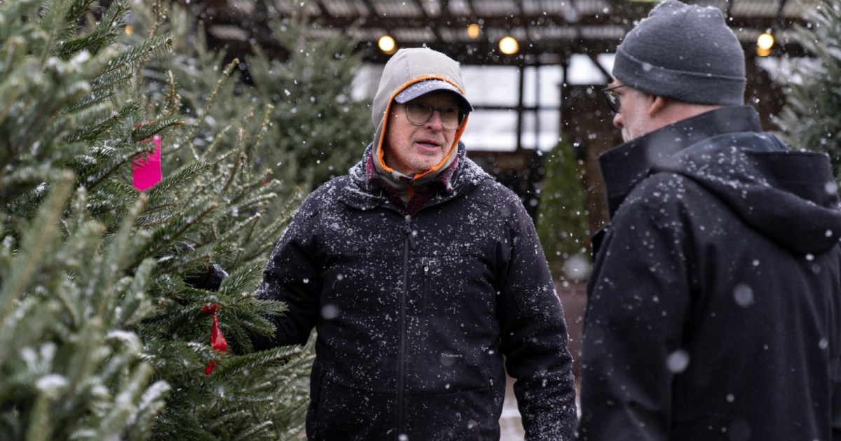 Nationwide Christmas tree shortage drives up prices for real trees