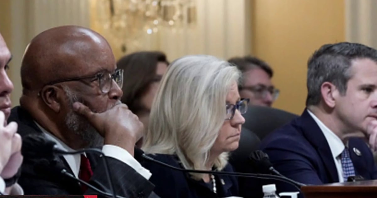 'Today is the day': Jan. 6 committee's last day to make their case in public