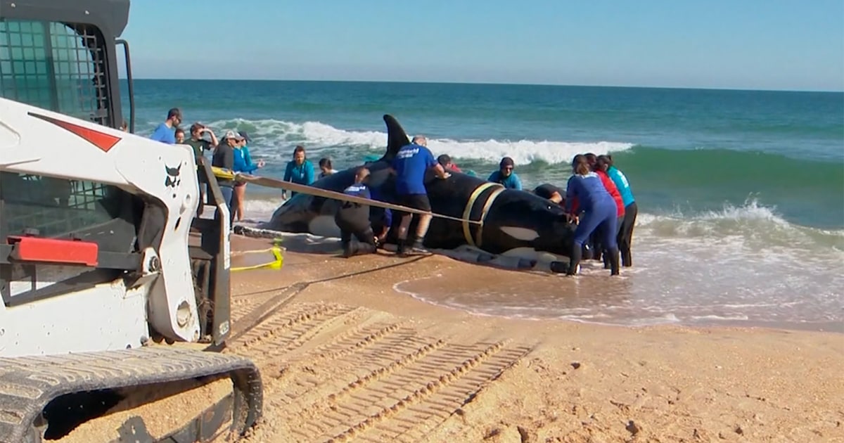 Riiiiight… 

Maybe. But who can trust the bastards? Pretty fast to say it has nothing to do with win...