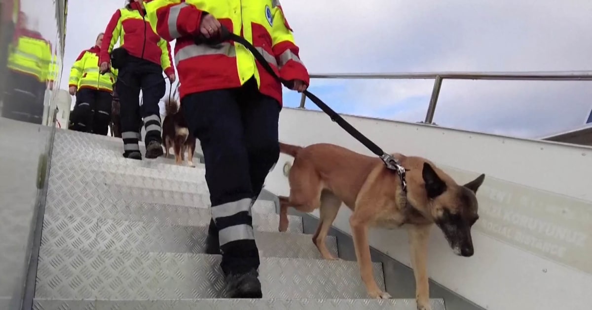 Global search and rescue teams arrive in Turkey after earthquake