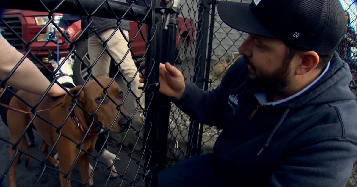 Community jumps in to rescue dozens of dogs after fire at Seattle dog daycare