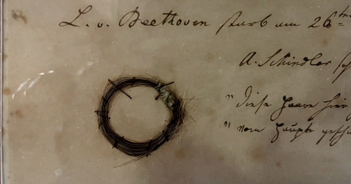 Une mèche de cheveux de Beethoven offre des indices sur la mort du compositeur