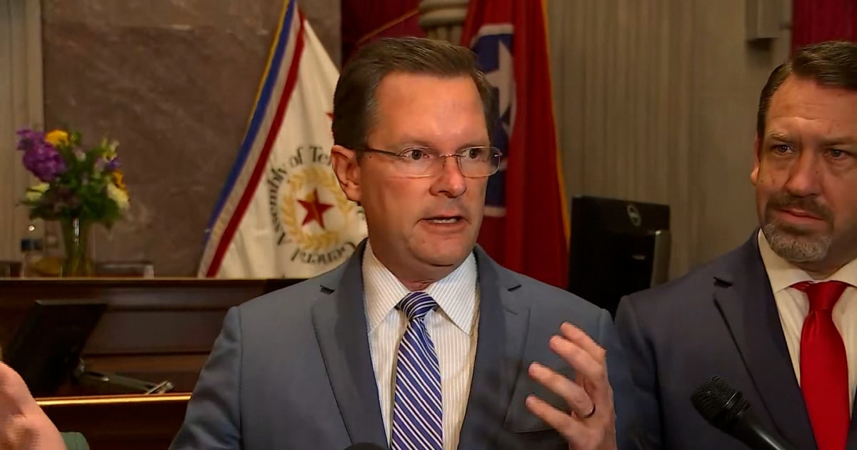 Tennessee House speaker reacts to expulsion of 2 Democratic lawmakers