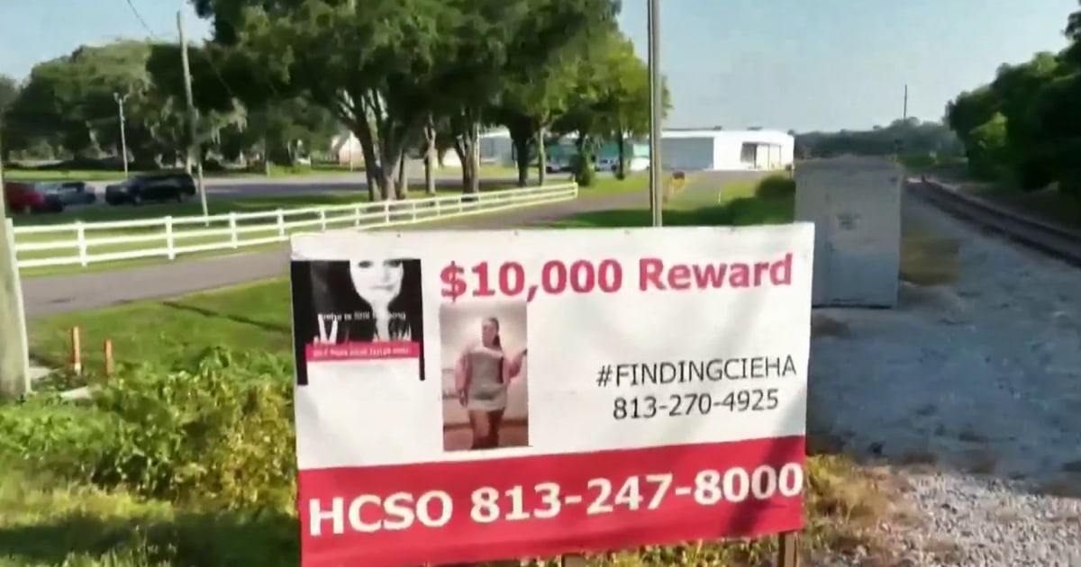 New 'ebony alert' aims to help missing Black women and children