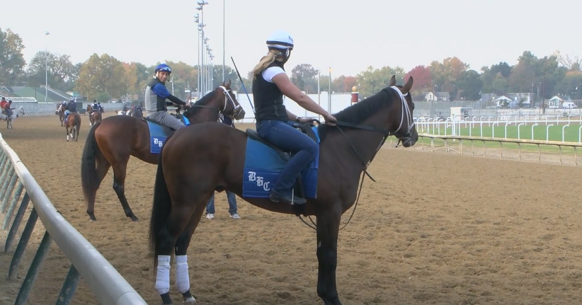 Horse deaths prompt calls for change at Churchill Downs