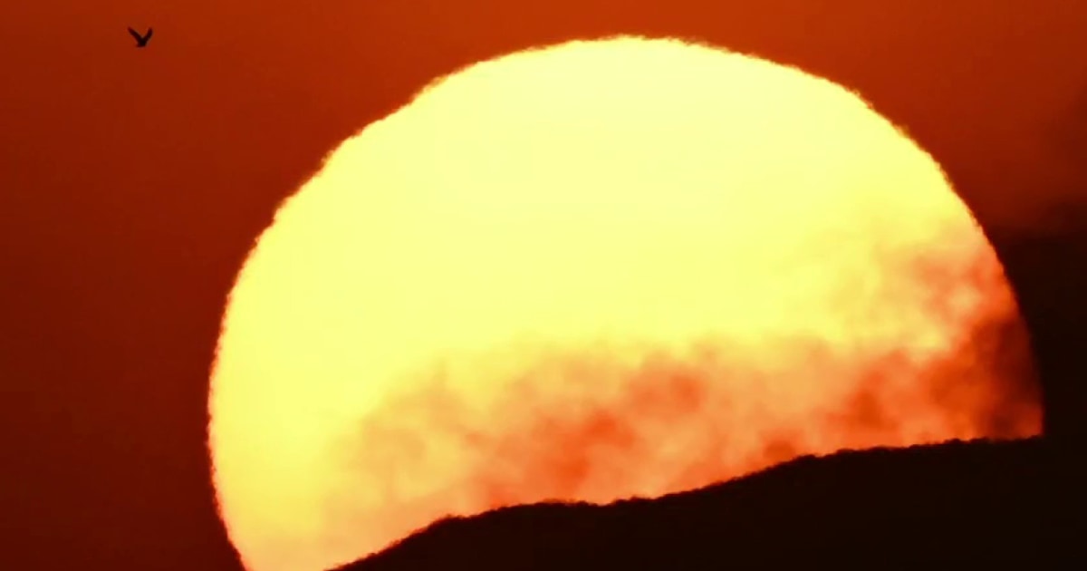 World records its hottest days ever this week