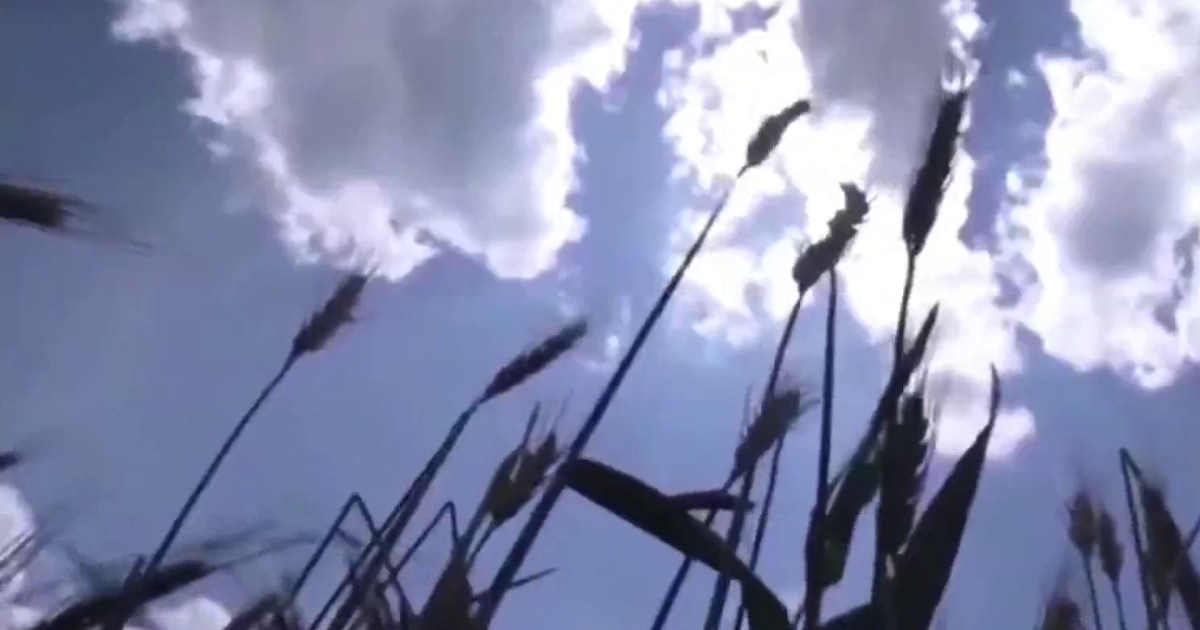 It’s ‘perfectly allowable under international law’ for NATO to escort Ukrainian grain ships