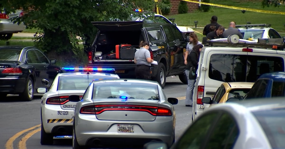 Suspect accused of stabbing 4 in Maryland fatally shot by police