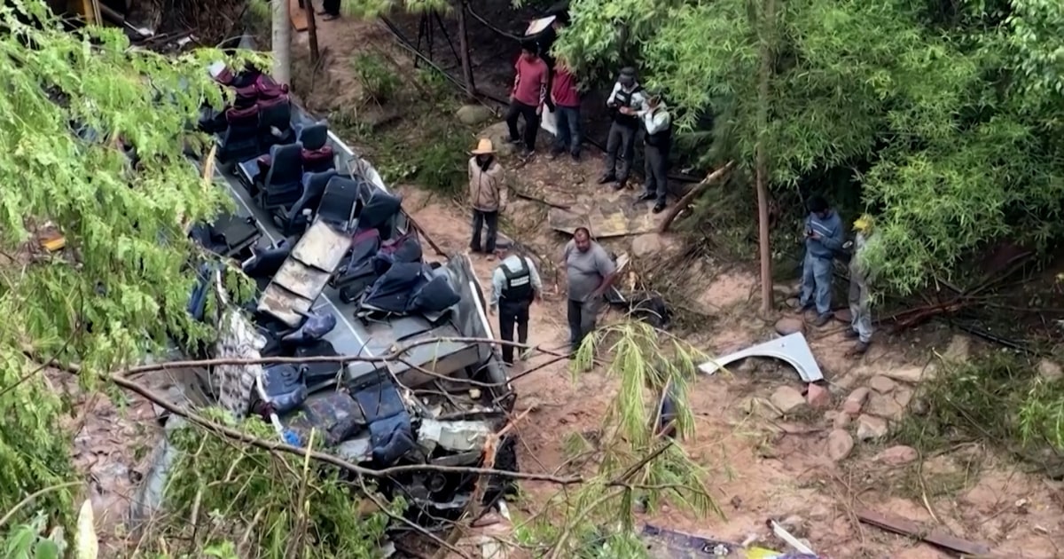 Dozens in Mexico dead after bus crashes into ravine